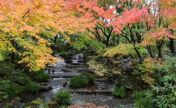 Kokoen, jardim tradicional japonês durante a temporada de outono Nele — Fotografia de Stock