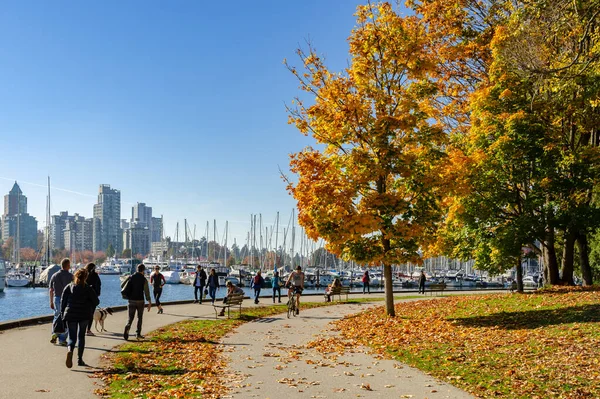 Vancouver Canada Ottobre 2018 Turisti Non Identificati Stanley Park Con — Foto Stock