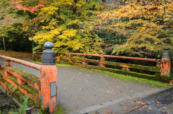 Cor Outono Bonita Árvores Bordo Japonesas Com Ponte Vermelha Kyoto — Fotografia de Stock