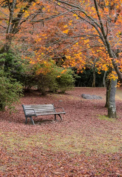 京都の嵐山にある木のベンチと紅葉の公園の秋 — ストック写真