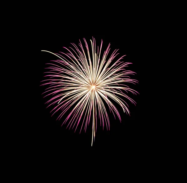 Pink fireworks light up and explosion on night sky