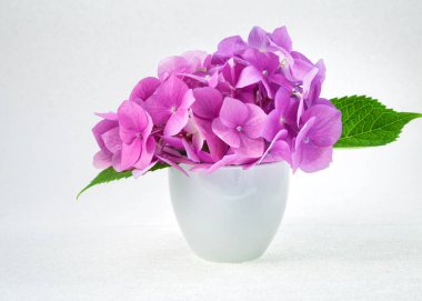 buket pembe ortanca çiçek ışık ile beyaz bir arka plan üzerinde beyaz bir fincan