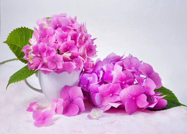 bouquet of pink hydrangea flowers in a white cup on a white background with light