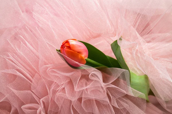 spring pink tulips in a bunch of powdery pink tulle