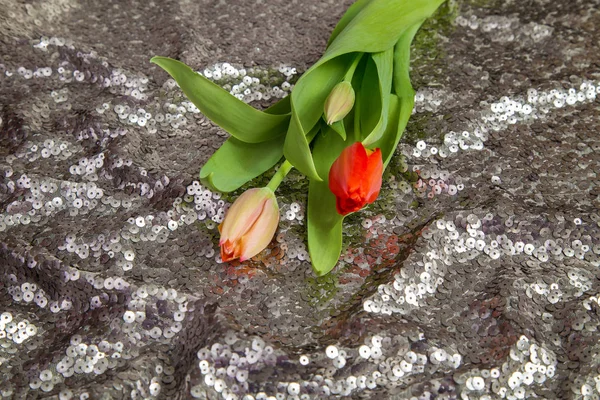 Botões Frescos Primavera Rosa Tulipas Fundo Tecido Brilhante Com Lantejoulas — Fotografia de Stock