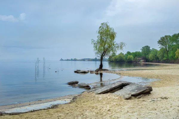 Summer Landscape Large River Sky Screensaver Background Serenity — Stock Photo, Image