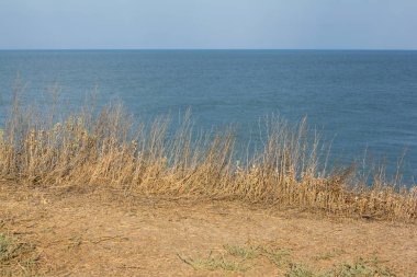 yaz, güneşli bir gün yukarıdan deniz ve gökyüzü yaz manzara