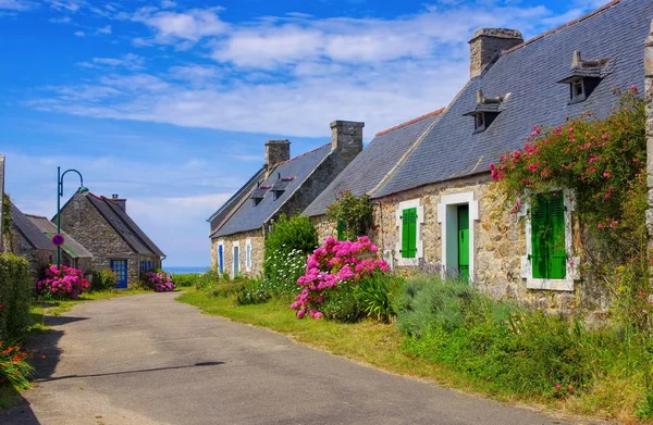 Типичный Старый Дом Цветок Гортензии Бретани Франция — стоковое фото