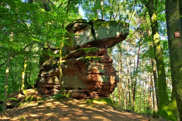 Juengstberg Dahn Rockland Deutschland — Stockfoto