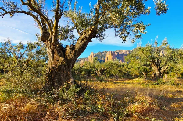 Mallos Riglos Córdoba España — Foto de Stock