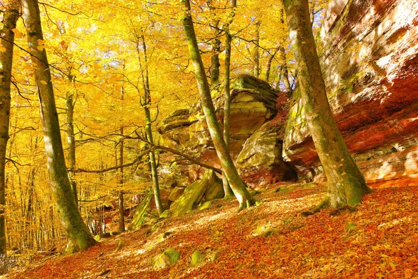 Altschlossfelsen Rock Dahn Rockland Autumn Germany — Stock Photo, Image