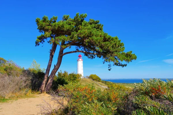 Ostrově Hiddensee Majáku Dornbusch Severu Ostrova — Stock fotografie