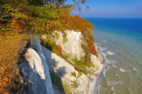 瑞根岛 秋天的粉笔悬崖 — 图库照片