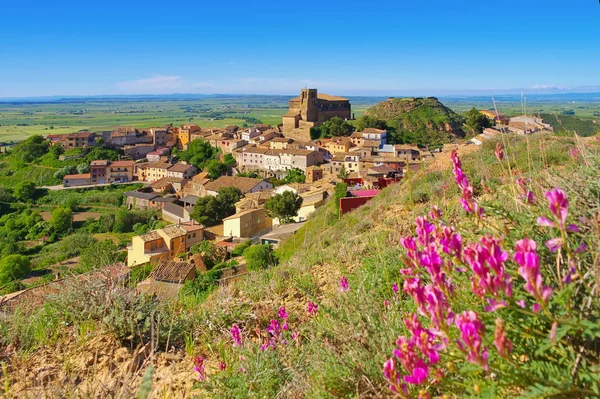 Colegiata de Bolea, Aragon — Stock fotografie