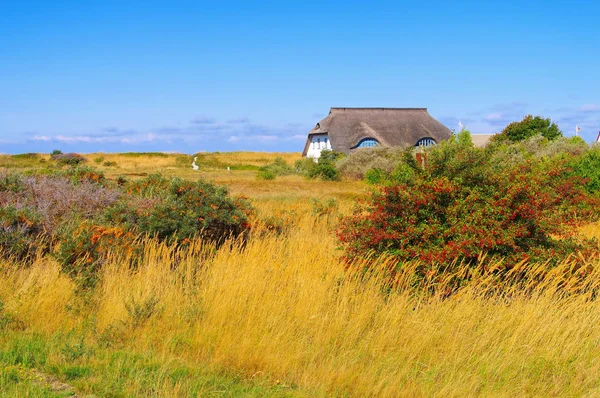 Ostrov Hiddensee, dům v dunách — Stock fotografie