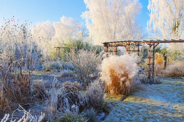 Tuin in de winter met rijp op een koude dag Stockfoto