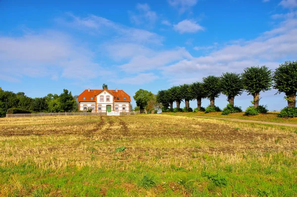 En gammal Villa med en limegrön aveny på ön Poel — Stockfoto