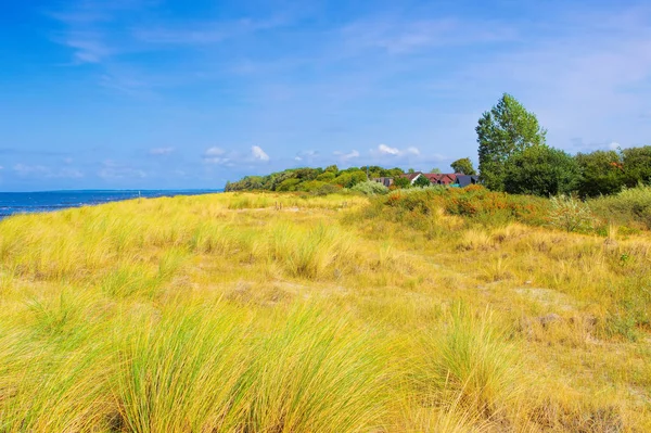 Poel strand bij de zwarte bush op het eiland van de Poel in Duitsland — Stockfoto