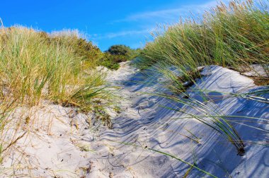 Yaz aylarında Hiddensee kumlu plaj