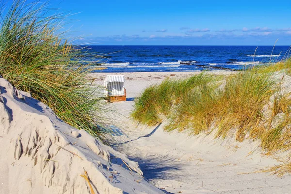Hiddensee praia de areia no verão — Fotografia de Stock