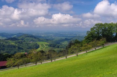 Kara Orman'da Ortenau manzarası