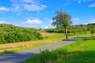 Vogtland 'da sakin bir kır yolu olan manzara, Almanya