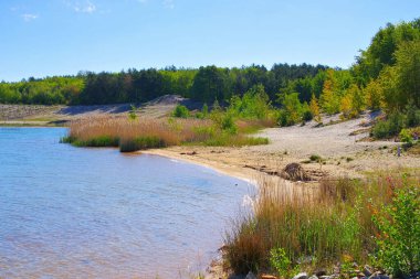 Geyerswalder Gölü Sahili, Lusatian Gölü, Almanya 'da güneşli bir günde