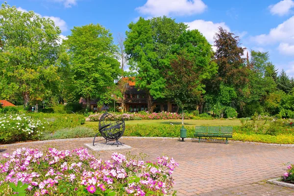 Bad Bodenteich Jardín Rosas Alemania — Foto de Stock