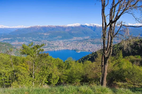 从意大利Sighignola看到的卢加诺湖 — 图库照片