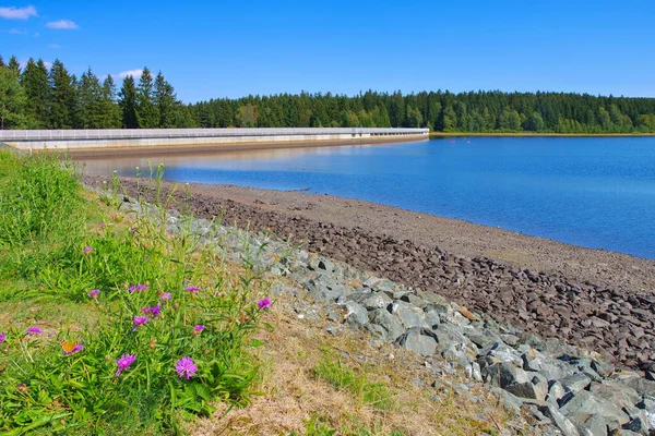 Embalse Presa Muldenberg Vogtland Sajonia — Foto de Stock