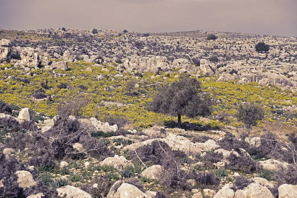 Tarsus, Türkiye'de antik Roma yol kalıntıları