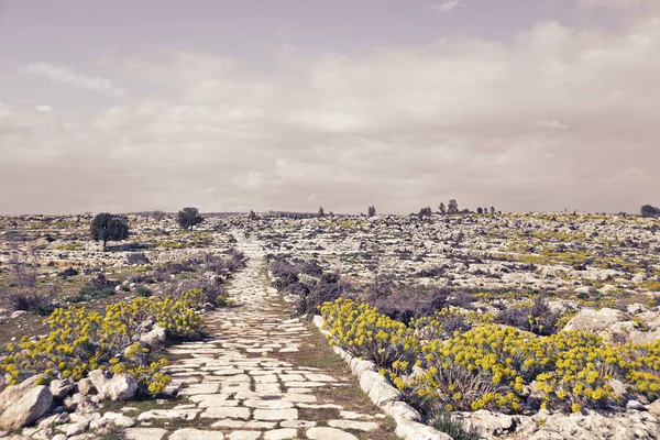 Ruïnes Van Oude Romeinse Weg Tarsus Turkije — Stockfoto