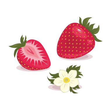 Çilek ve izole çiçek 