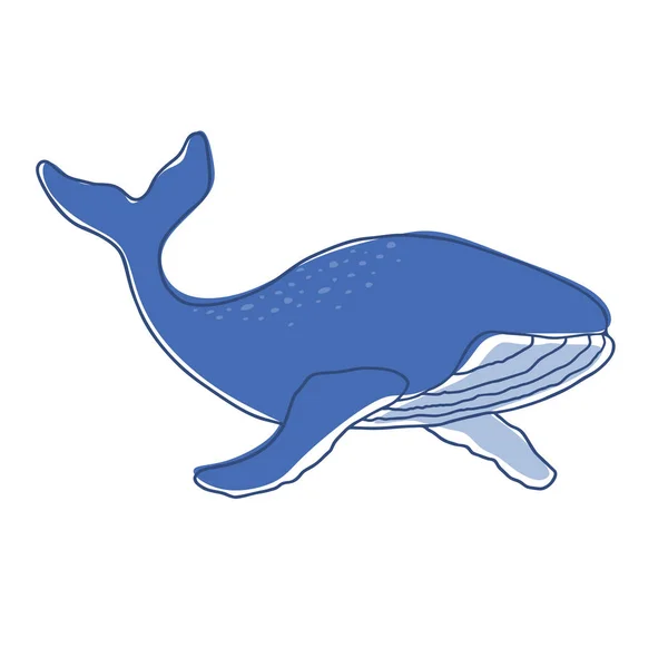 Εικονογράφηση Της Μπλε Φάλαινας Απομονωμένες — Διανυσματικό Αρχείο