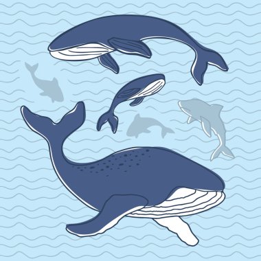 Balinalar ve köpekbalıkları seti