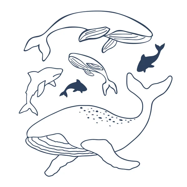 Set Balene Squali — Vettoriale Stock