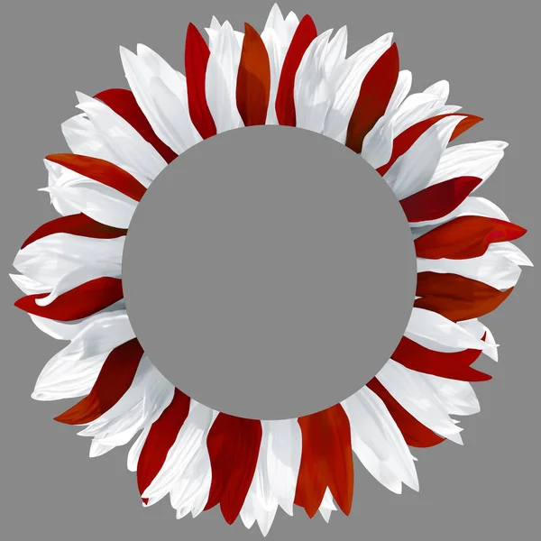 Ghirlanda di petali bianchi e rosso scuro — Foto Stock
