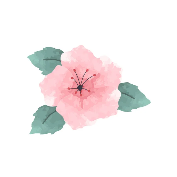 ピンクの水彩のハイビスカスの花 — ストックベクタ