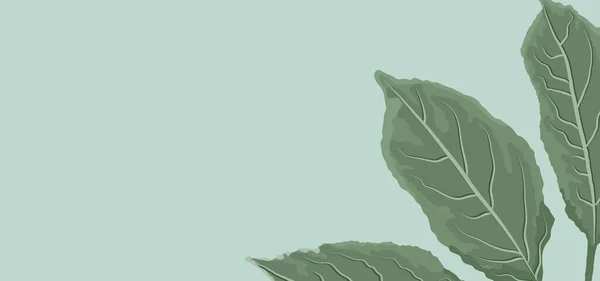 Fond Branches Avec Grandes Feuilles Vertes — Image vectorielle