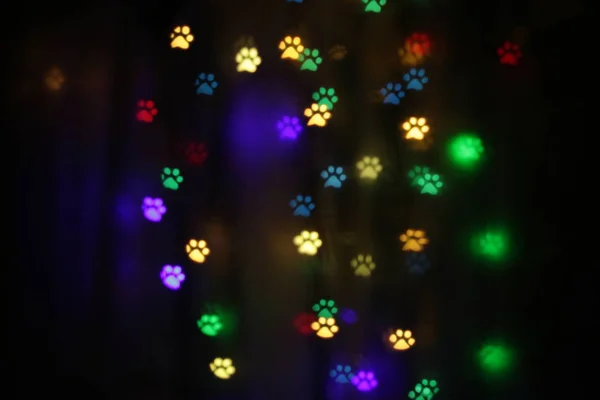 Bokeh Colorato Forma Tracce Animali — Foto Stock