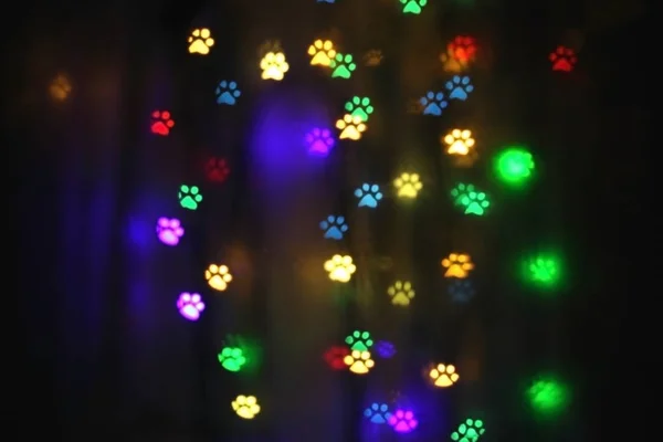 Bokeh Colorato Forma Tracce Animali — Foto Stock