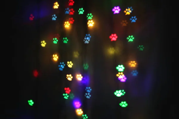 Bokeh Colorido Forma Trilhas Animais — Fotografia de Stock