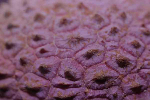 Lychee kabuğu en super makro büyütme