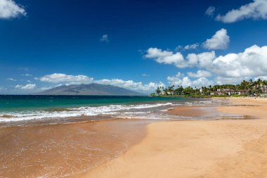 Maui adasında güzel Wailea plaj