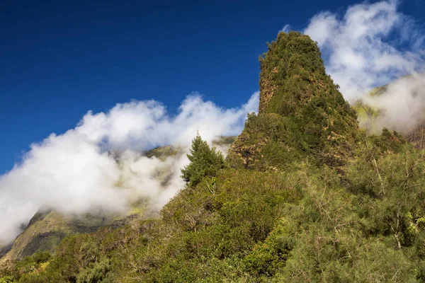 The needle of the Iao Valley State Park — Stock Photo, Image