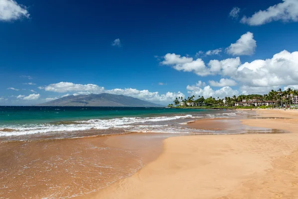 Maui adasında güzel Wailea plaj