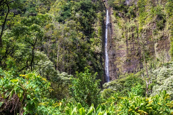 Waimoku på ön Maui — Stockfoto