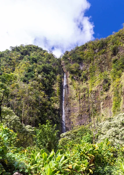 Waimoku en la isla de Maui — Foto de Stock