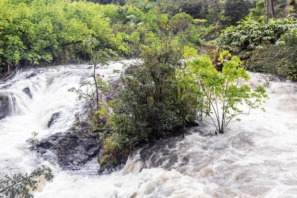 Waterfall on the Hana Highway — Stock Photo, Image