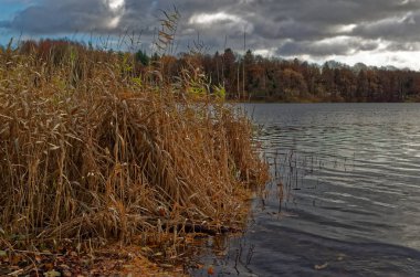 Göl kışın Siek, Almanya bulutlu gökyüzü altında ' Grossensee'